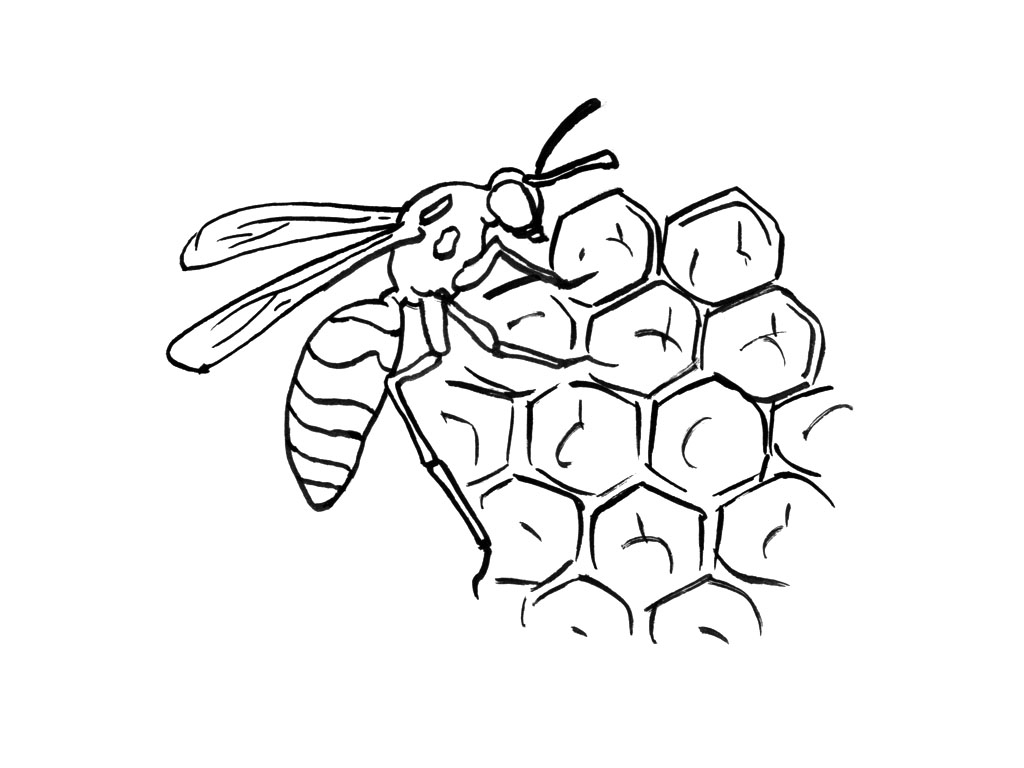 Coloriage d'une abeille butinant une fleur au milieu de la nature