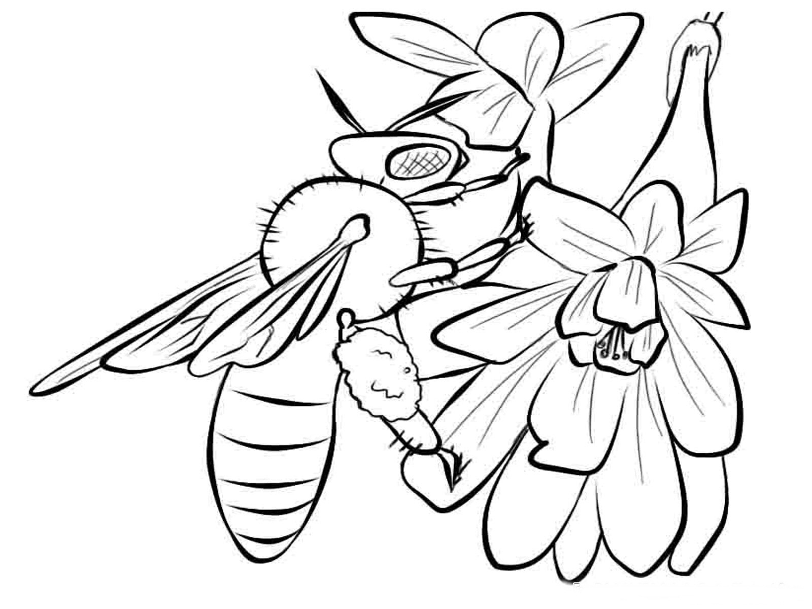 Coloriage d'une abeille sur une fleur dans un décor naturel
