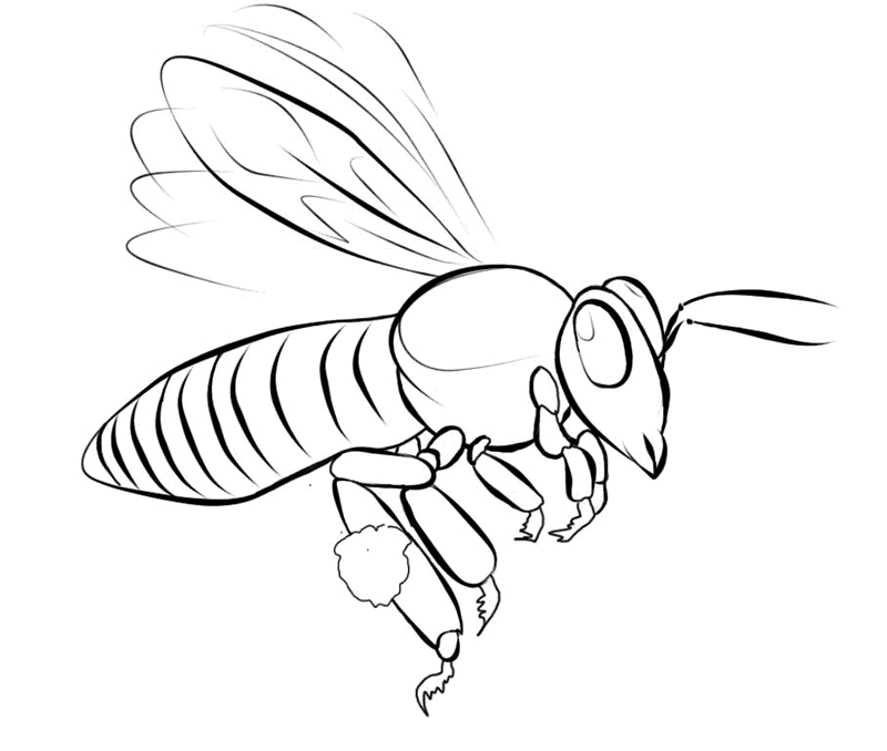 Abeille en plein vol au-dessus d'une fleur