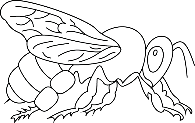 Coloriage d'une abeille en plein vol au-dessus d'une fleur