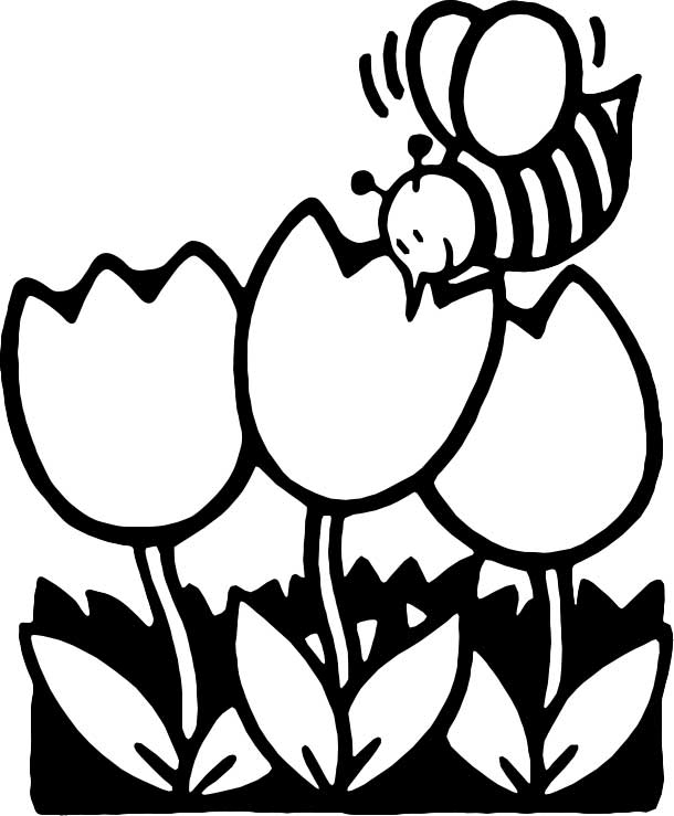 Abeille en plein vol au-dessus d'une fleur