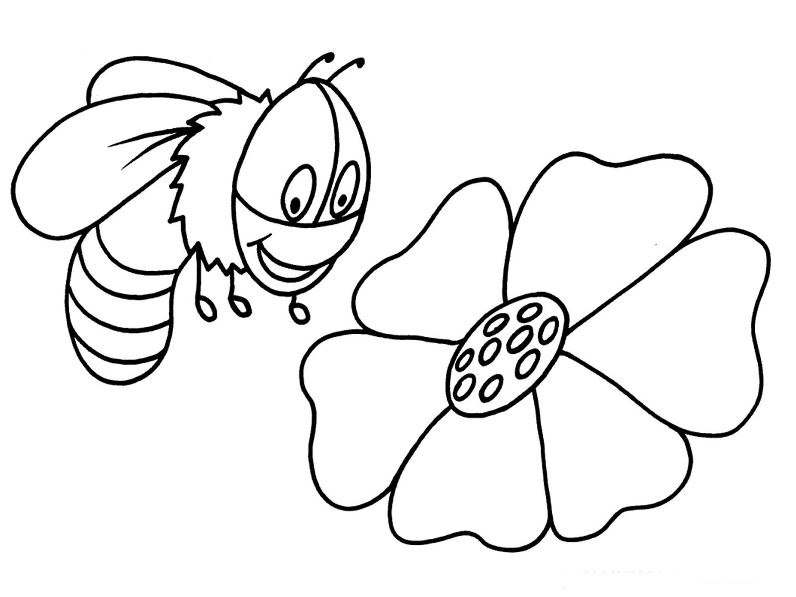 Abeille butinant sur une fleur dans un jardin ensoleillé