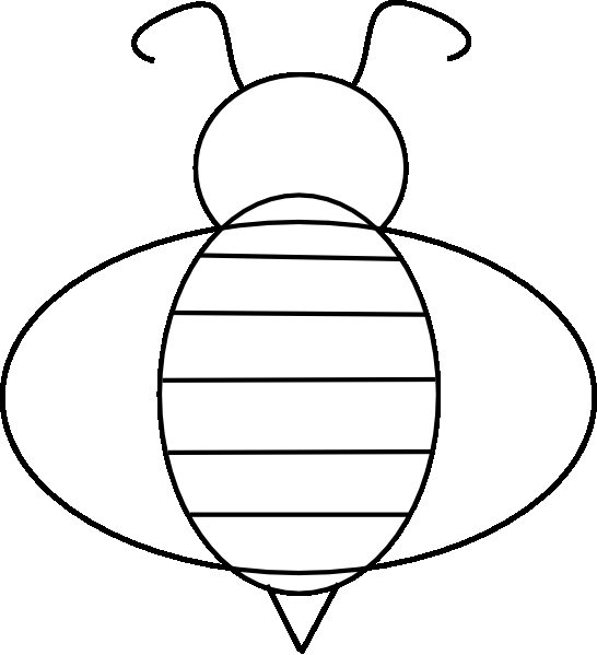 Abeille en train de butiner des fleurs dans un jardin