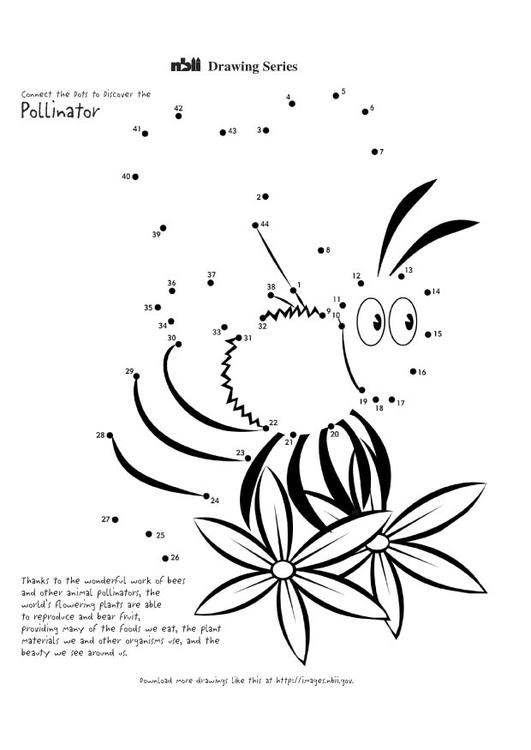 Abeille butinant des fleurs dans un jardin