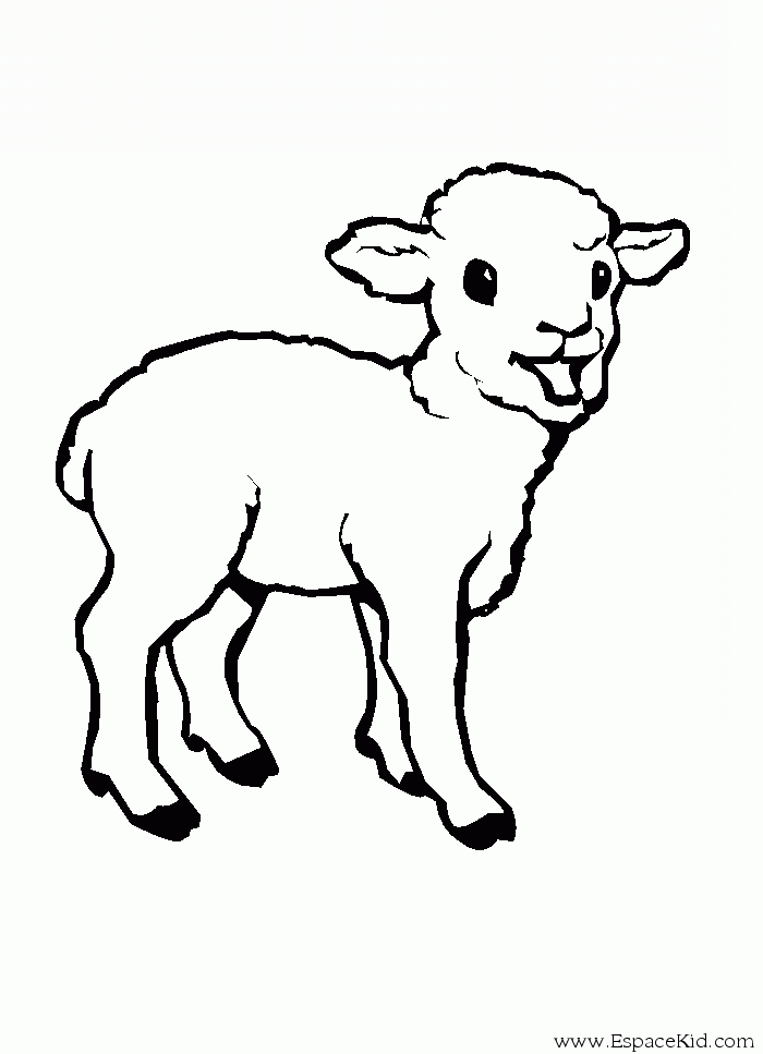 Un agneau mignon se reposant dans un champ verdoyant