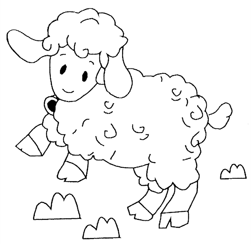 Agneau mignon dans un pré verdoyant