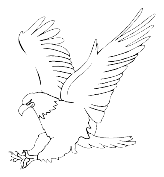 Coloriage d'un aigle en plein vol avec des détails majestueux