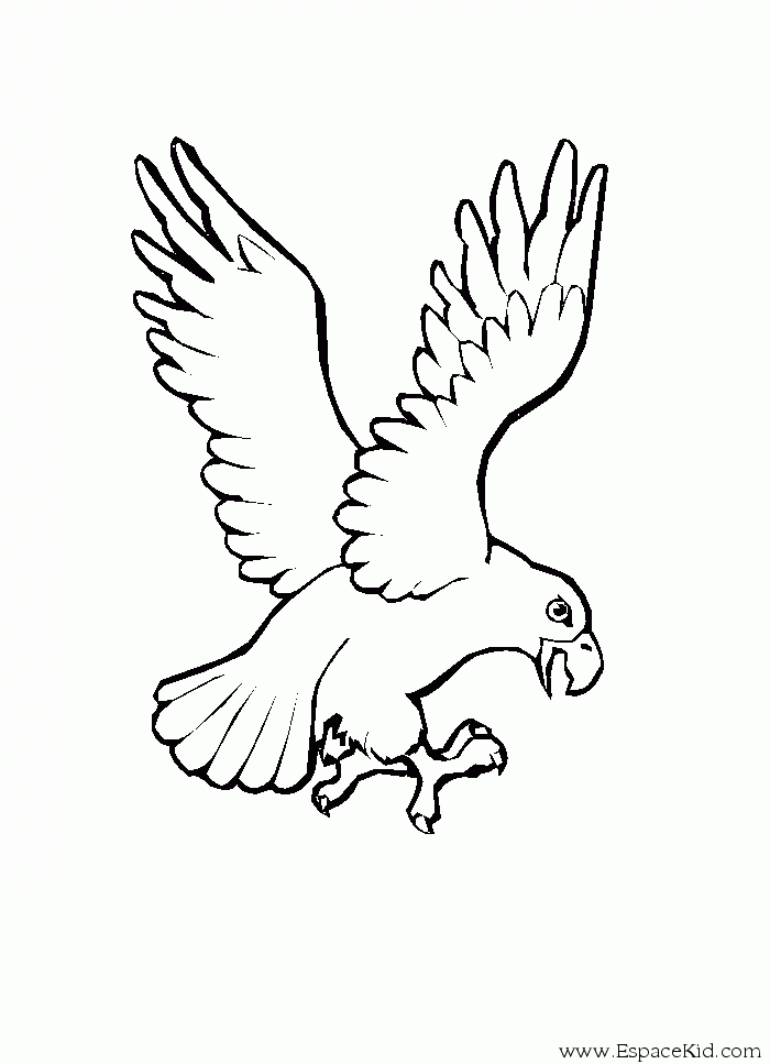 Coloriage Aigle #1651 à imprimer Coloriage Aigle #1651 à imprimer