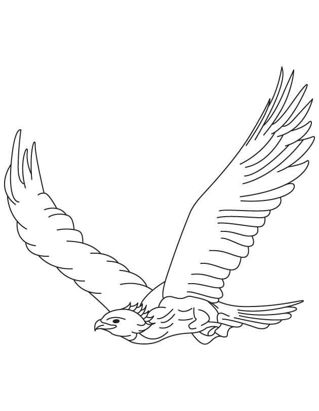 Un aigle majestueux prenant son envol au-dessus des montagnes Un aigle majestueux prenant son envol au-dessus des montagnes