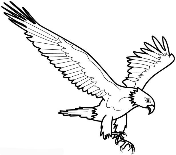 Coloriage Aigle #1654 à imprimer Coloriage Aigle #1654 à imprimer