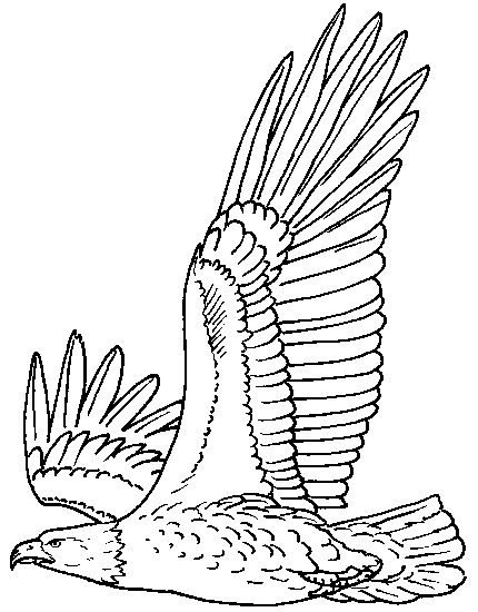 Un aigle majestueux en vol au-dessus des montagnes