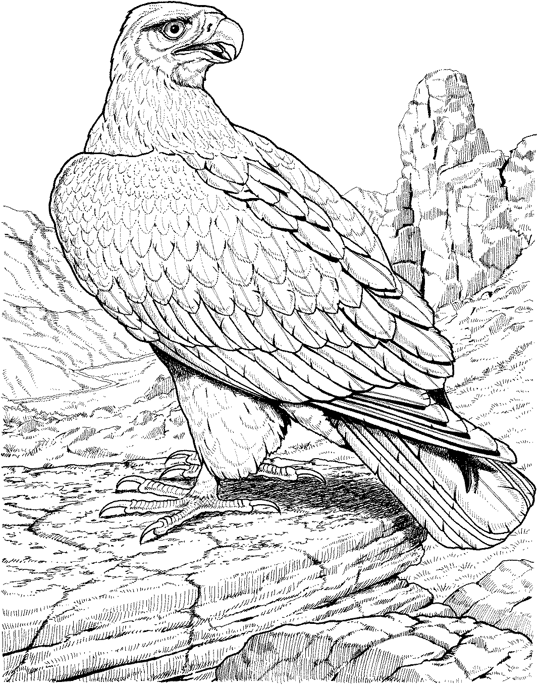 Un aigle majestueux en plein vol au-dessus des montagnes