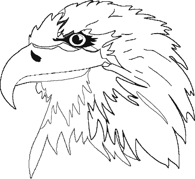 Un aigle majestueux perché sur une branche d'arbre