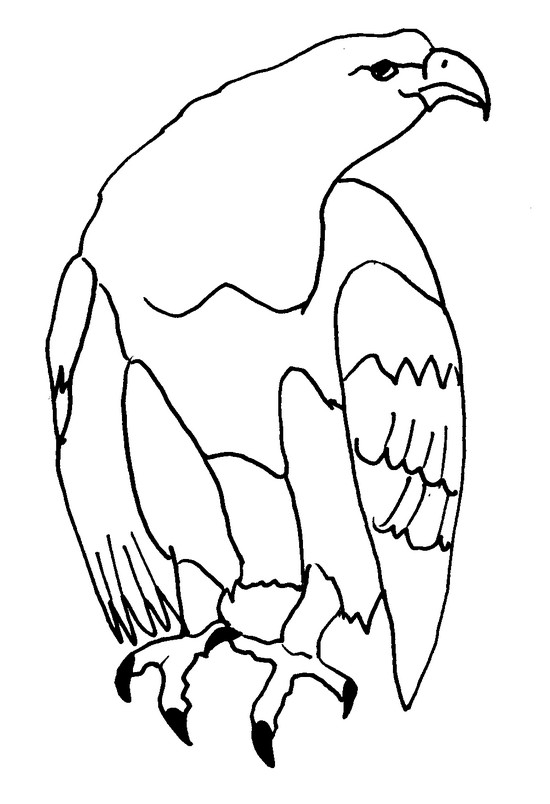Coloriage d'un aigle majestueux en plein vol au-dessus des montagnes