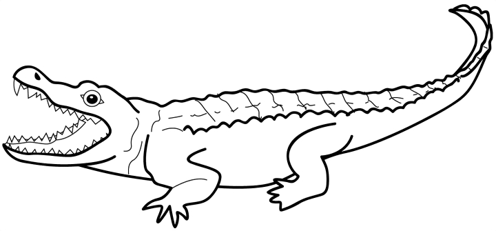 Coloriage d'un alligator se reposant au bord d'une rivière