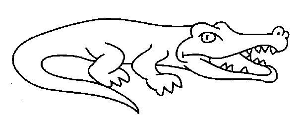 Coloriage d’un alligator paisible dans son habitat naturel