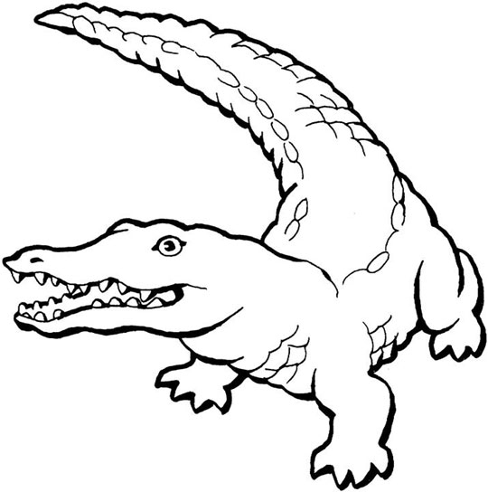 Coloriage d'un alligator dans son habitat naturel