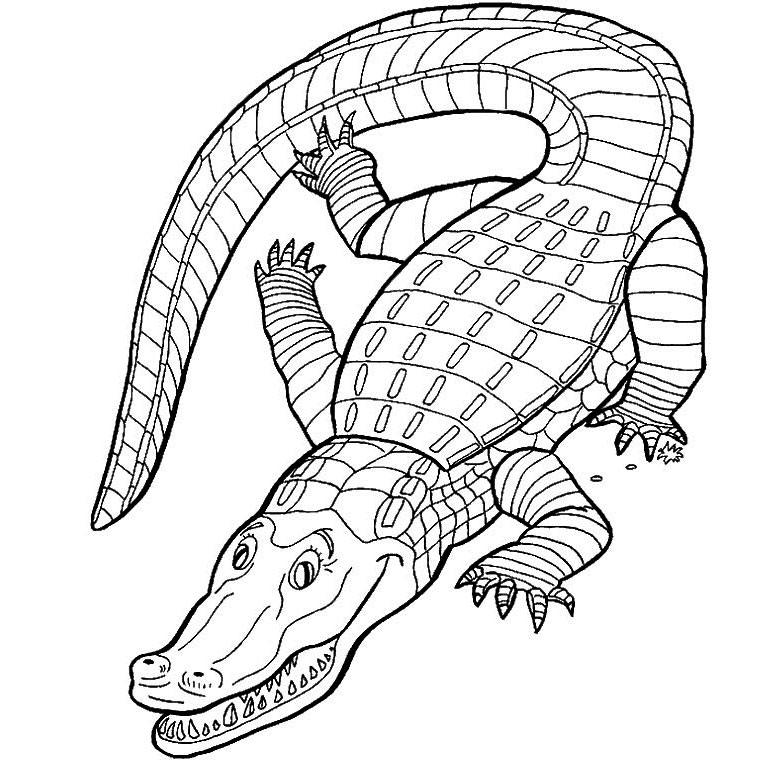 Coloriage d'un alligator dans un environnement aquatique