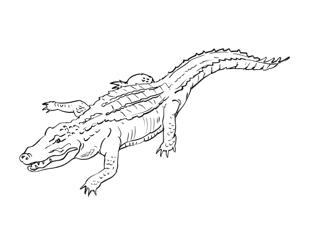 Un alligator paisible au bord d'un étang entouré de végétation