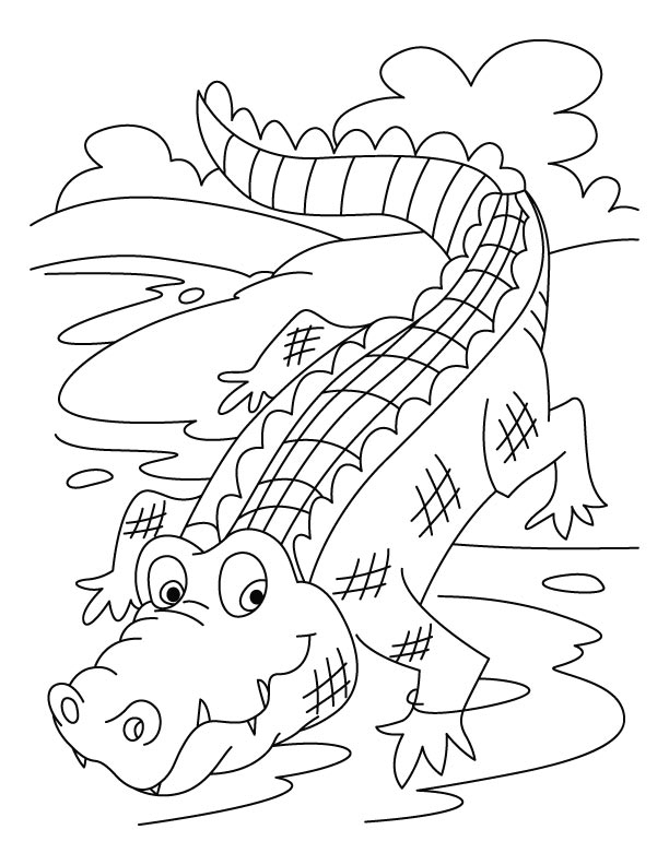 Coloriage d'un alligator sur un fond de marais