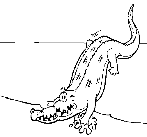 Coloriage d'un alligator nageant dans un environnement aquatique