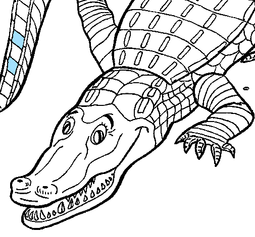 Coloriage d'un alligator sur un fond aquatique