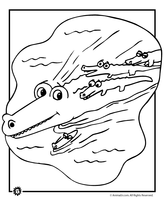 Coloriage d'un alligator au bord d'un marais