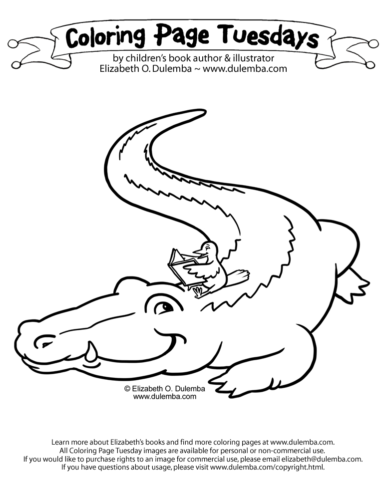 Coloriage d'un alligator dans son habitat naturel