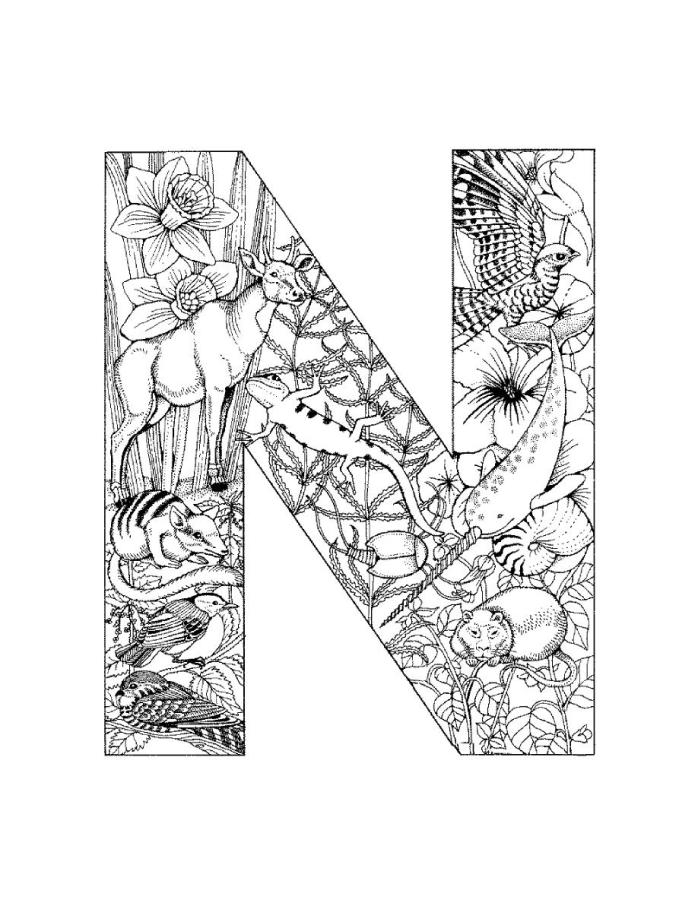 Coloriage de l'alphabet avec des lettres décorées et des motifs ludiques
