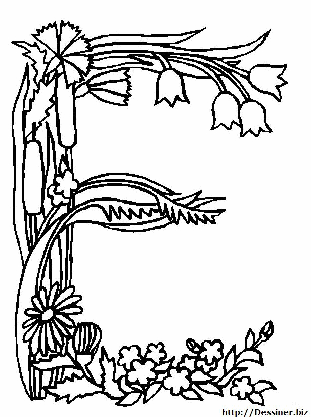Coloriage de l'alphabet avec des lettres stylisées et des motifs