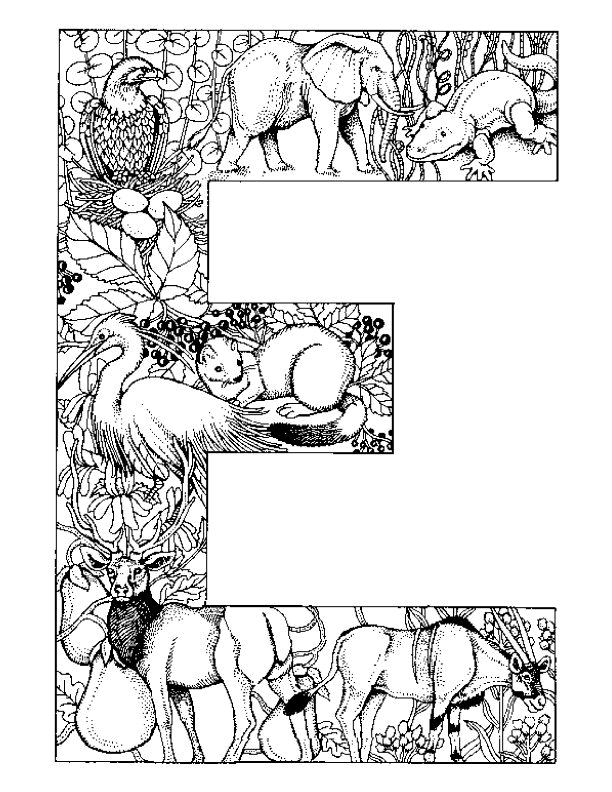 Coloriage de l'alphabet avec des lettres stylisées et des éléments décoratifs