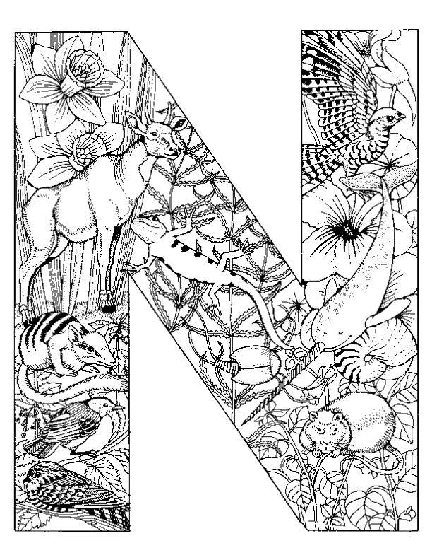 Coloriage de l'alphabet avec des lettres entourées d'éléments ludiques