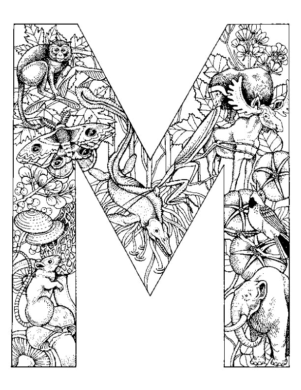 Coloriage d'un alphabet stylisé avec des éléments décoratifs