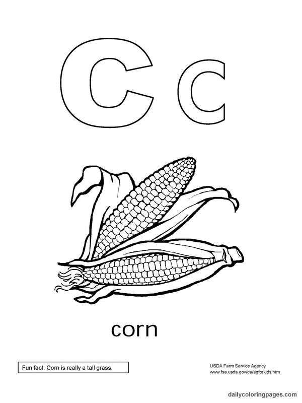 Coloriage de l'alphabet avec des lettres décorées et des éléments ludiques