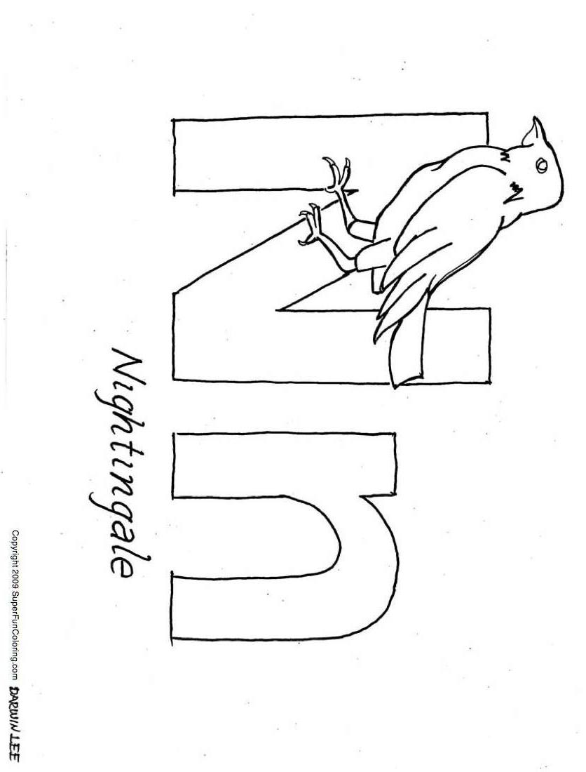 Coloriage de l'alphabet avec des lettres stylisées et des éléments décoratifs