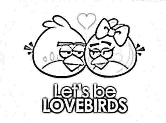 Coloriage d'Angry Birds dans un décor ludique