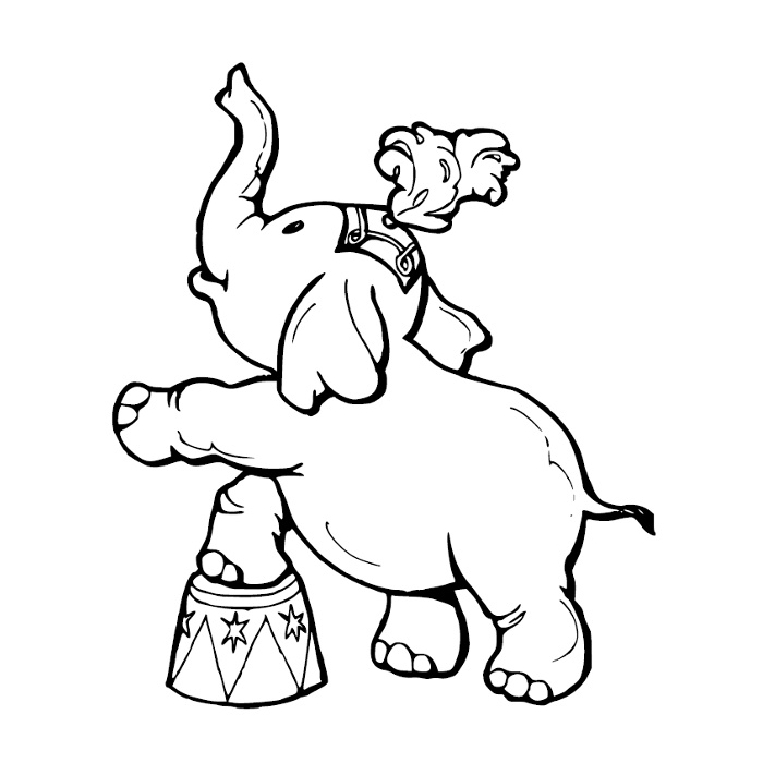 Un éléphant jongleur sous le chapiteau d'un cirque