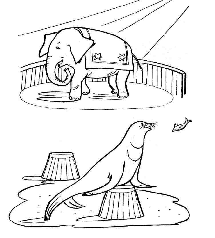 Animaux de cirque en pleine représentation sous un chapiteau