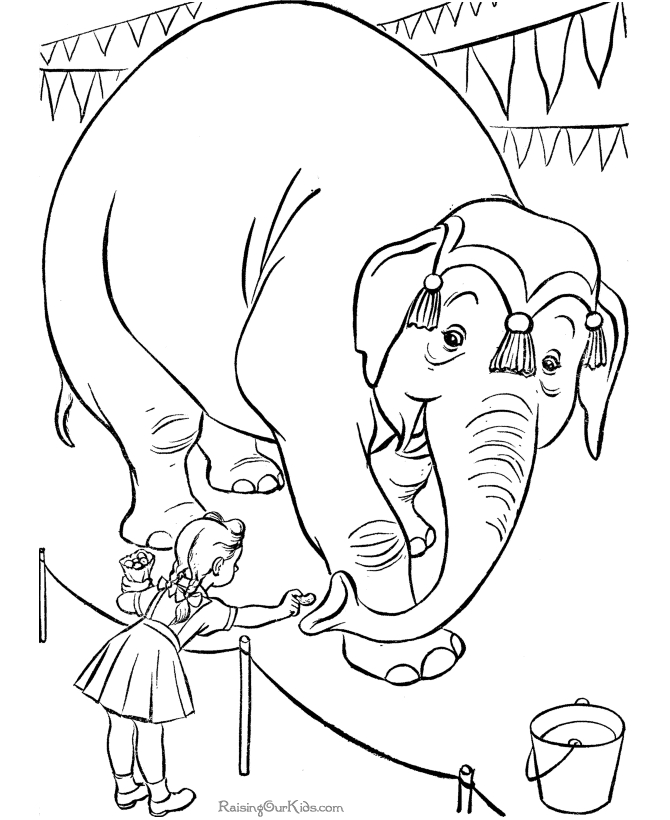 Un éléphant jongleur sous le chapiteau du cirque