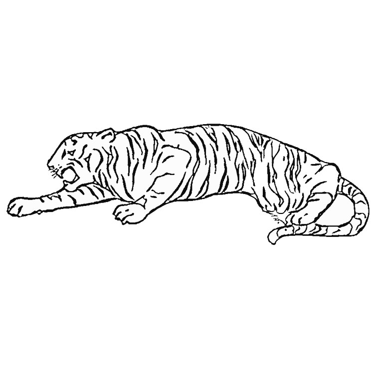 Coloriage d'animaux de cirque en pleine représentation
