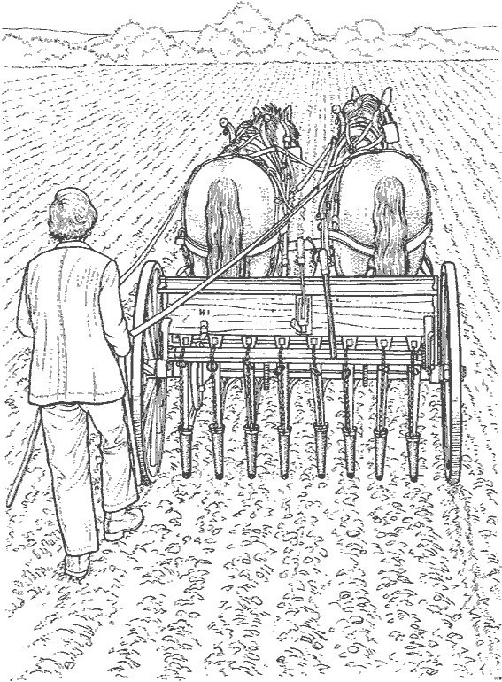 Coloriage d’animaux de la ferme en pleine activité dans un champ