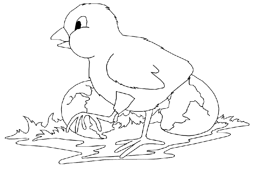 Coloriage d'animaux de la ferme en pleine activité