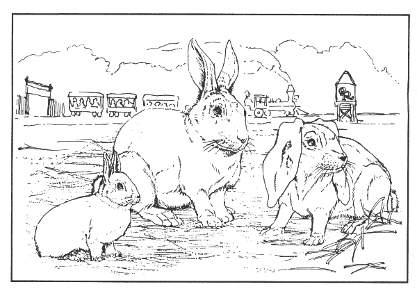 Coloriage d'animaux de la ferme en pleine activité