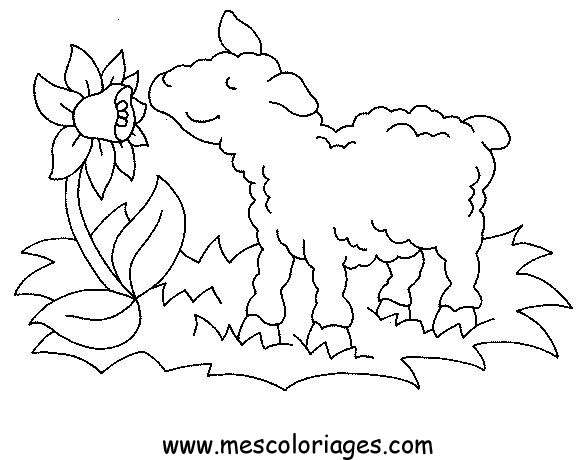 Scène de la ferme avec des animaux en plein air