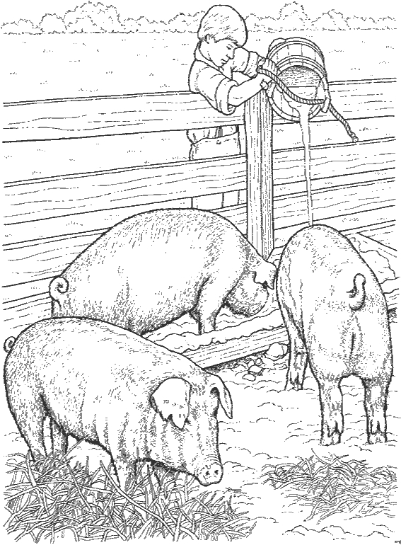 Coloriage d'animaux de la ferme en pleine activité sur un fond rural