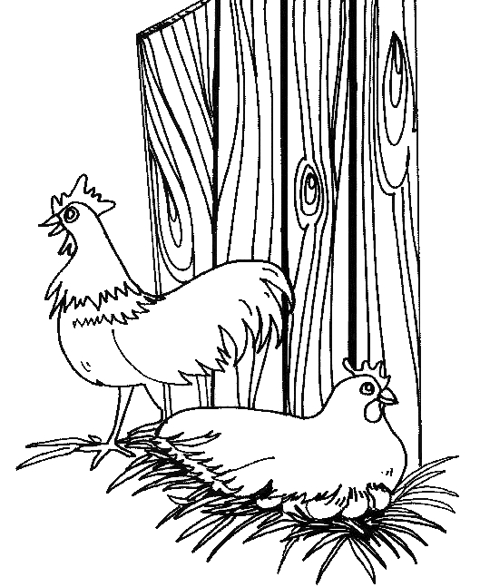 Coloriage d'animaux de la ferme dans un décor champêtre