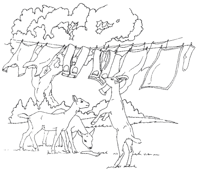 Coloriage d'animaux de la ferme dans un champ verdoyant