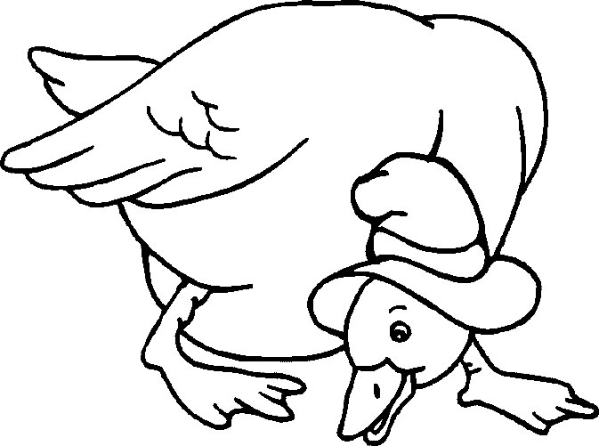 Scène de coloriage d'animaux de la ferme dans un environnement naturel Scène de coloriage d'animaux de la ferme dans un environnement naturel