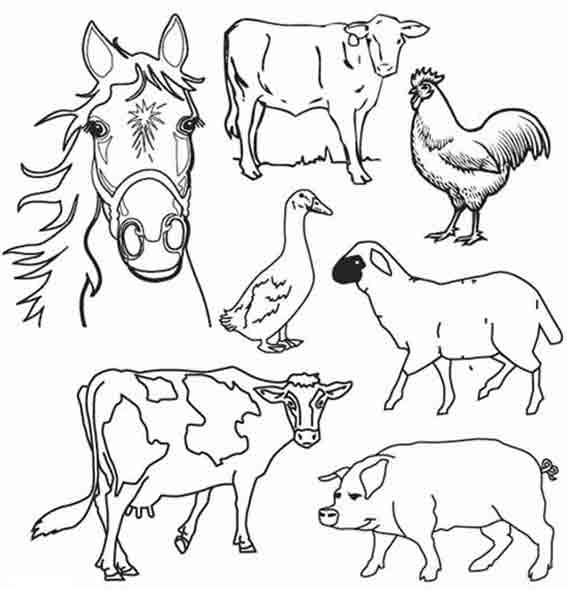 Coloriage d'animaux de la ferme en pleine activité