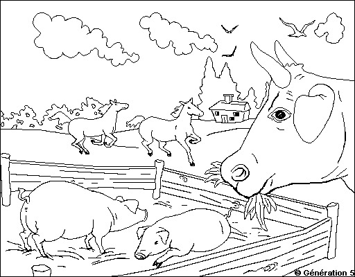 Coloriage d'animaux de la ferme en pleine activité
